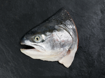 Fresh Norwegian Fjord Salmon-Trout Head 三文鱼头